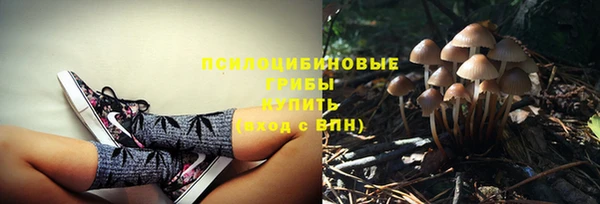 каннабис Алексин