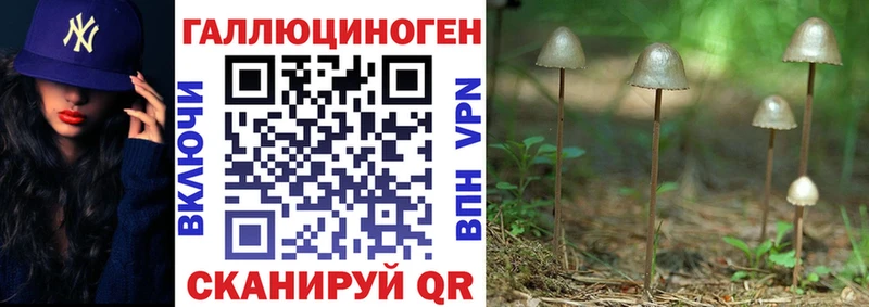 наркота Старая Купавна Псилоцибиновые грибы Cubensis